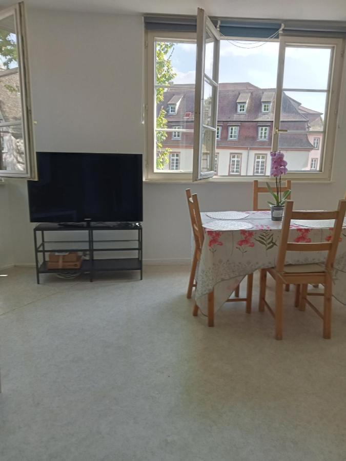 Appartamento Au Coeur De La Petite France Strasburgo Esterno foto