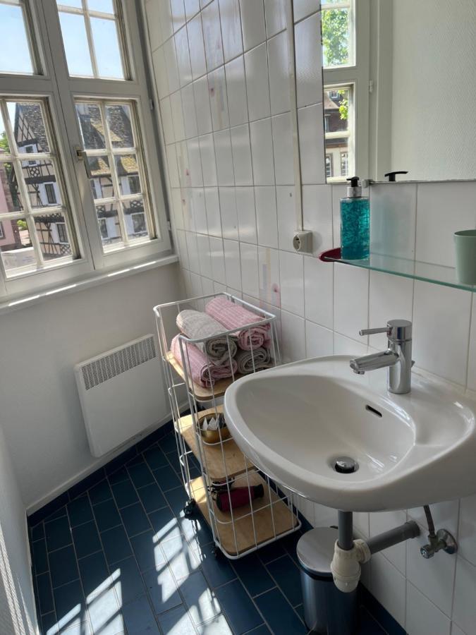 Appartamento Au Coeur De La Petite France Strasburgo Esterno foto